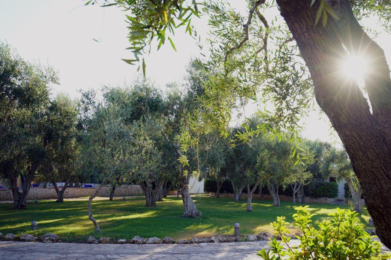 Apartment Ulivo With Pool And Private Beach Mattinata Kültér fotó