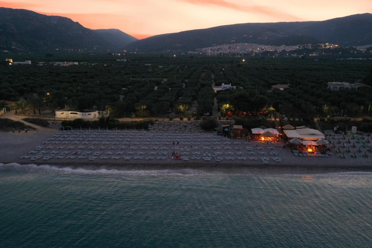 Apartment Ulivo With Pool And Private Beach Mattinata Kültér fotó